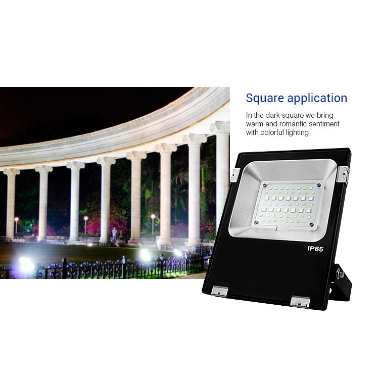20W LED floodlight RGB CCT statue lighting