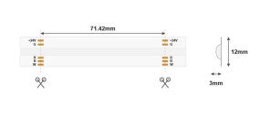 LEMLUX COB RGBW LED-list 19W/m 24V IP20 – 5 m