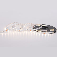 dj60-4W-m-24V-8mm